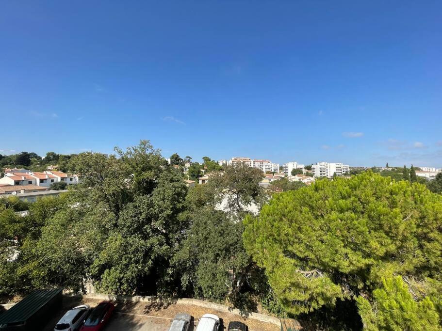 Appartement T2 Avec Terrasse- Montpellier Eksteriør billede